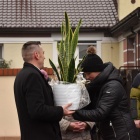 zdjęcie nr 19