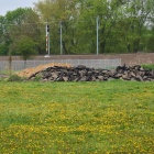 zdjęcie nr 31