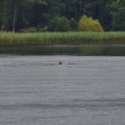 zdjęcie nr 23