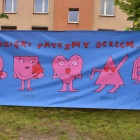zdjęcie nr 12