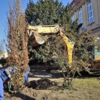 zdjęcie nr 8