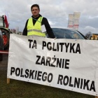 zdjęcie nr 5