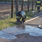 zdjęcie nr 15
