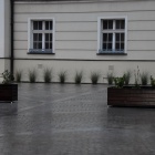 zdjęcie nr 22
