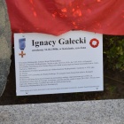 zdjęcie nr 21