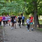 zdjęcie nr 11