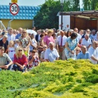 zdjęcie nr 51