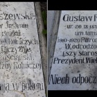 zdjęcie nr 7