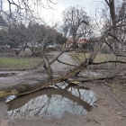 zdjęcie nr 3