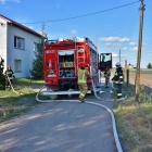 zdjęcie nr 4