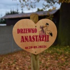 zdjęcie nr 14
