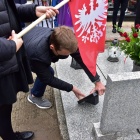 zdjęcie nr 19