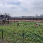 Place zabaw, Czacz (1)