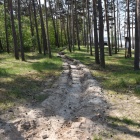 zdjęcie nr 15