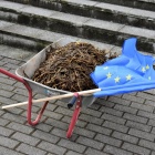 Protest pod biurem senatora (5)