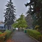 zdjęcie nr 23