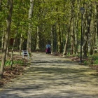 Otwarte parki i lasy (1)