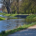 zdjęcie nr 14