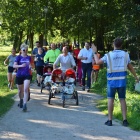 zdjęcie nr 30