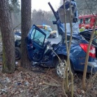 Uderzył w drzewo Telkimyśl Bojanice (1)
