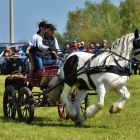 zdjęcie nr 42
