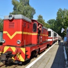 zdjęcie nr 14
