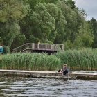 zdjęcie nr 14