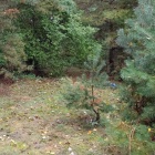 zdjęcie nr 8