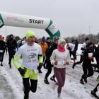 zdjęcie nr 12