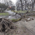 zdjęcie nr 6