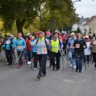 zdjęcie nr 5