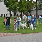 zdjęcie nr 20