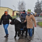 zdjęcie nr 5