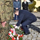 zdjęcie nr 11