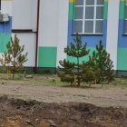 zdjęcie nr 5