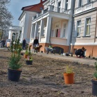 zdjęcie nr 7