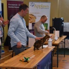 Pokaz kotów rasowych w Kościanie (4)
