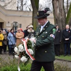 zdjęcie nr 43