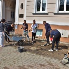 Sadzili rośliny przed urzędem