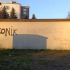 zdjęcie nr 16