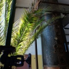 Rajd do Turwi (1)