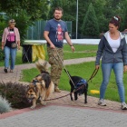 zdjęcie nr 9