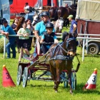 zdjęcie nr 52