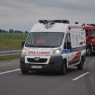 zdjęcie nr 7