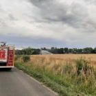 Pożar na polu koło Bonikowa (3)