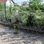 zdjęcie nr 31