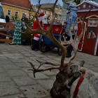 zdjęcie nr 7