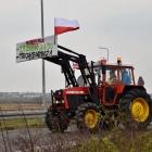 zdjęcie nr 15