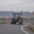 zdjęcie nr 10