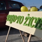 zdjęcie nr 34